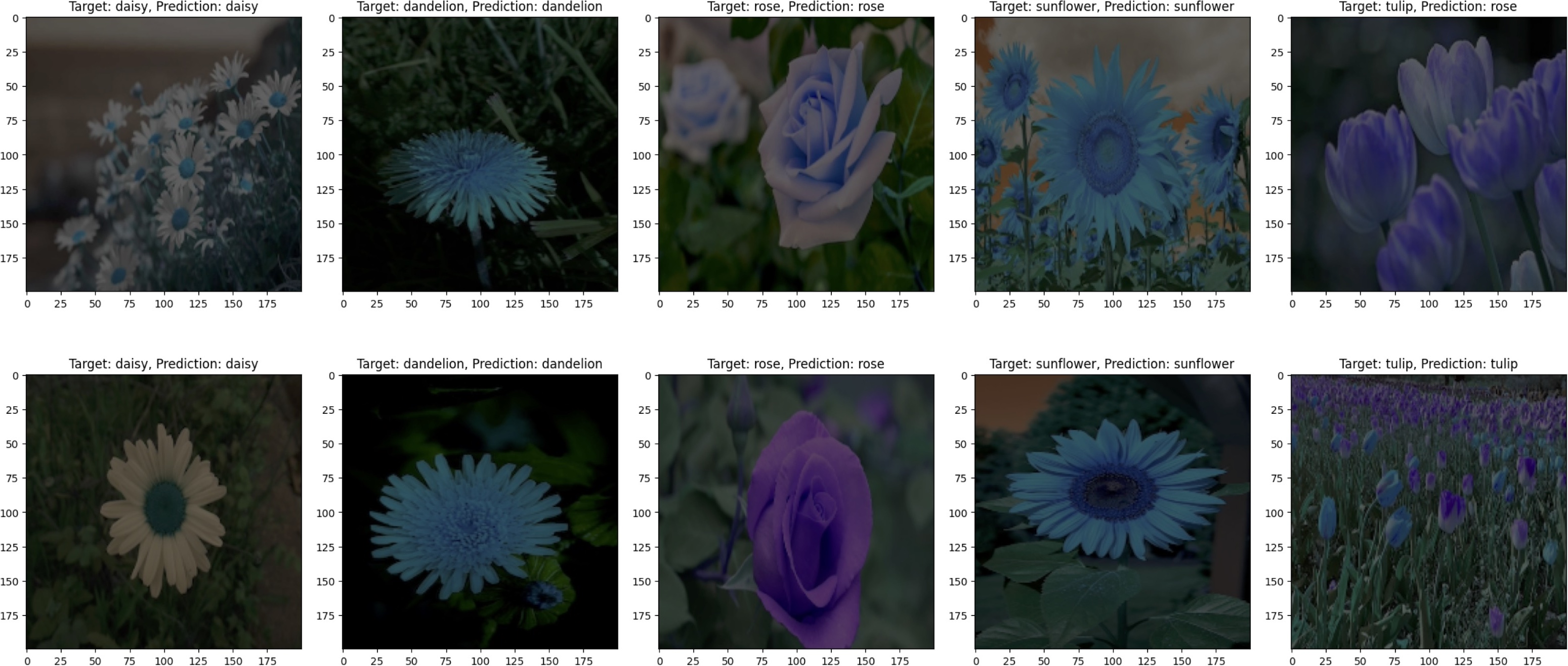 Flower Image Classification